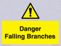 danger-falling-branches~